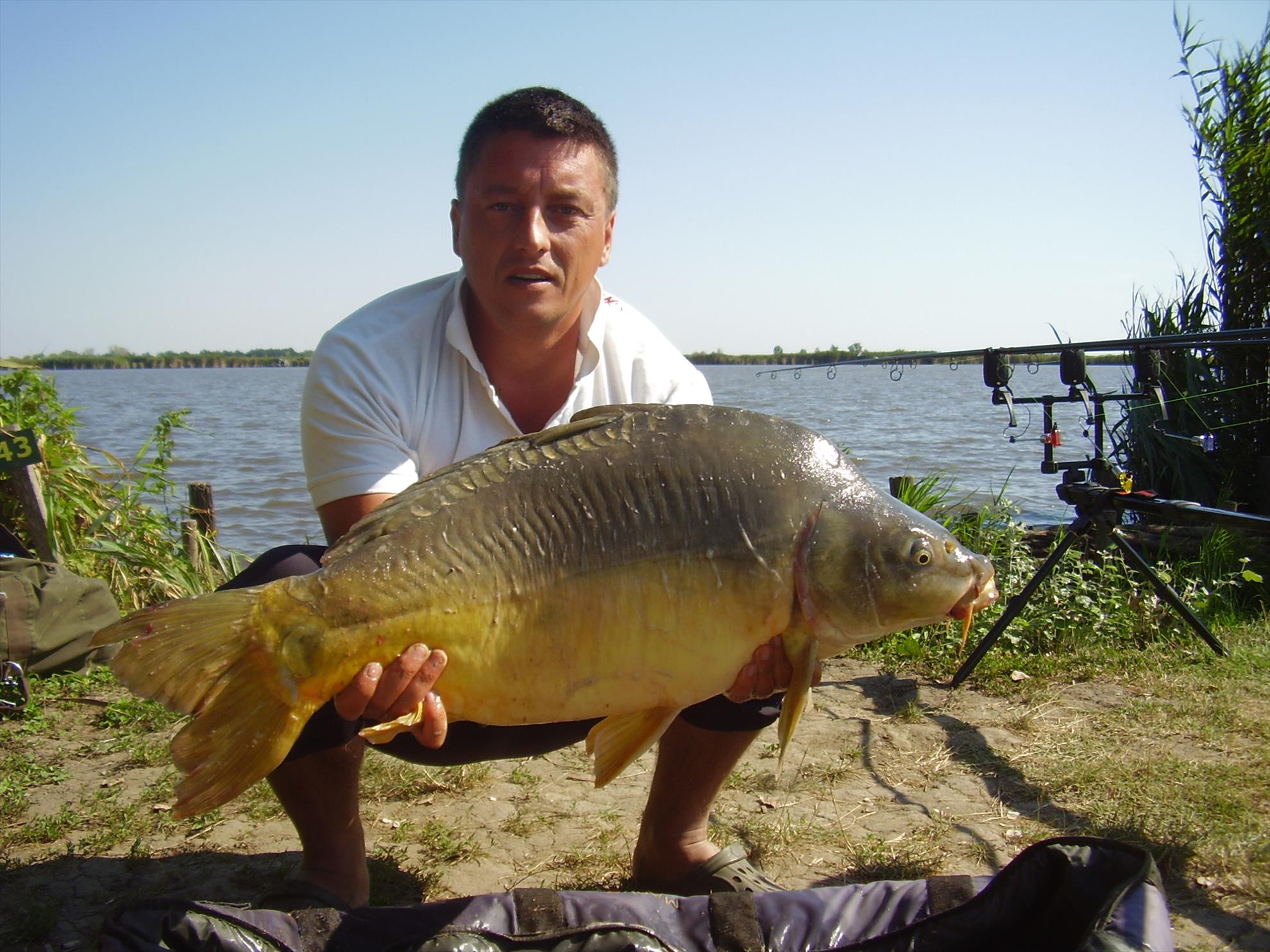 Alejandro Carp Team - Ohat Ungaria 2013 - p5070027.JPG